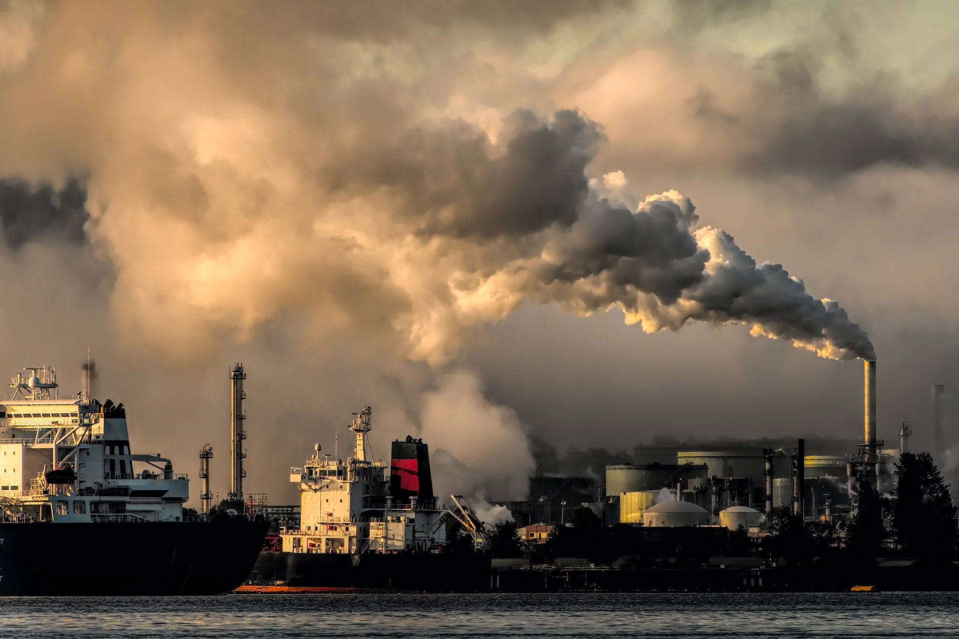 Estudio sobre cómo las algas pueden reducir las emisiones de CO₂